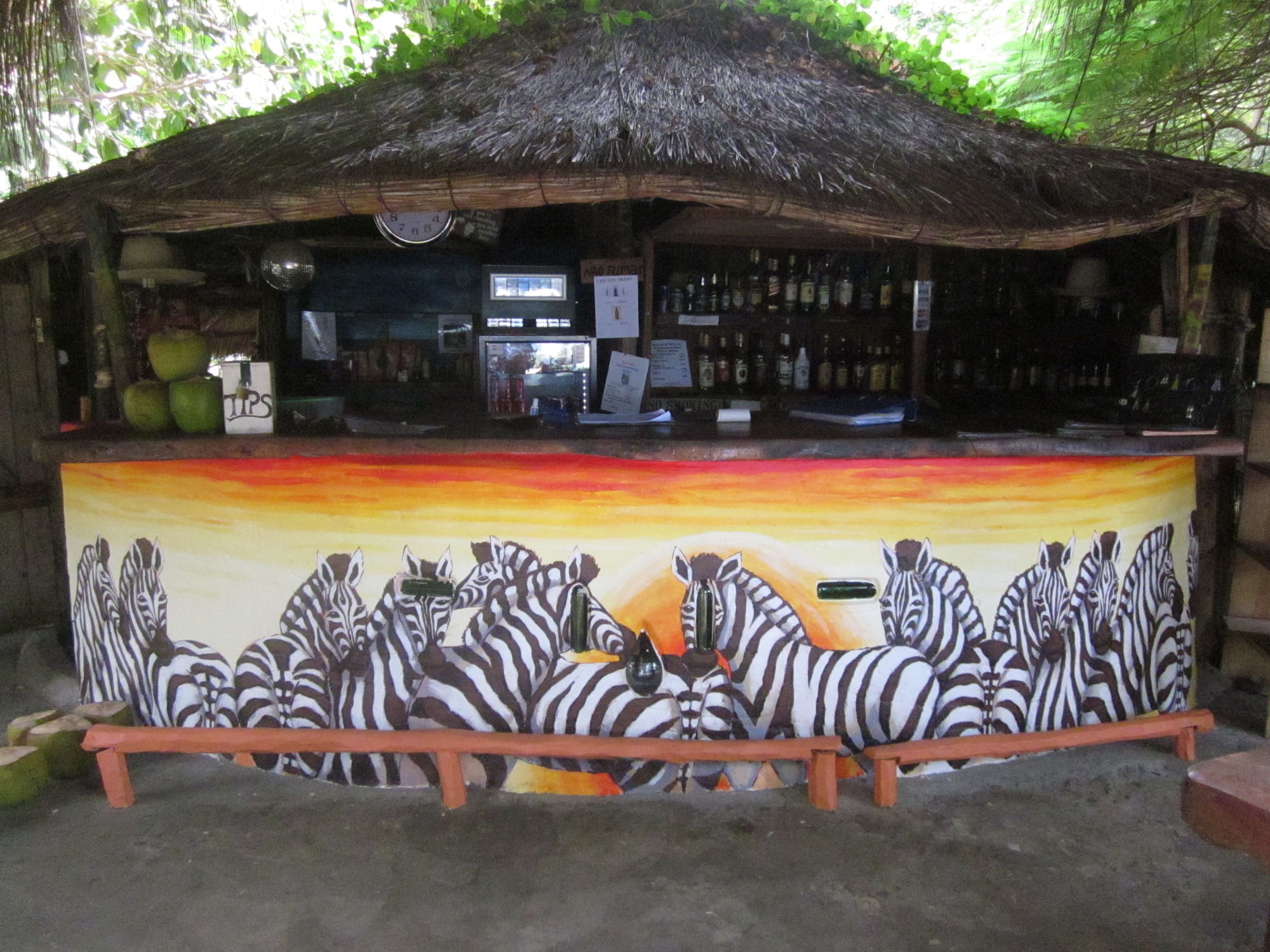 Baobab Beach Lodge And Backpackers 빌란쿨로스 외부 사진