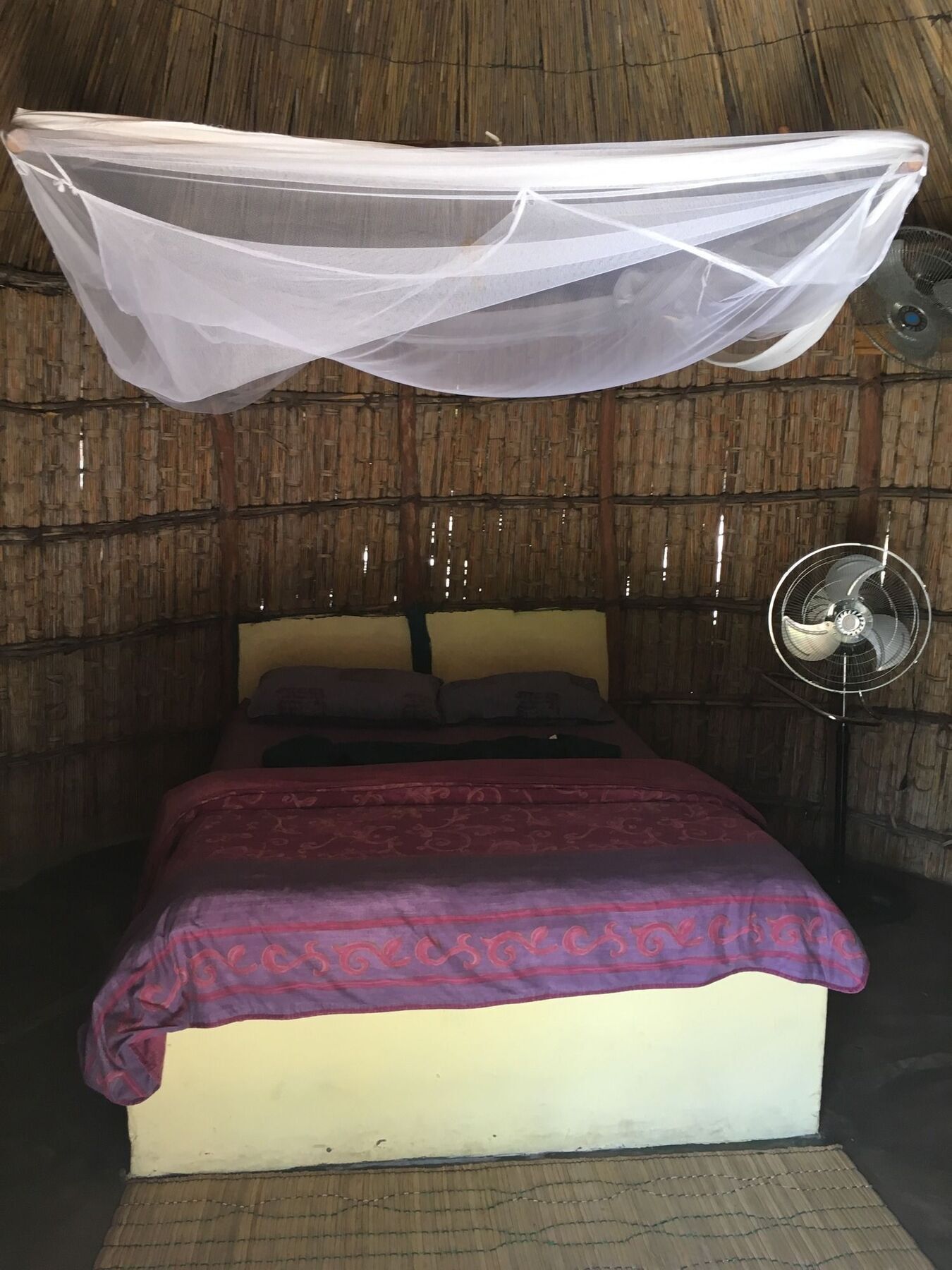 Baobab Beach Lodge And Backpackers 빌란쿨로스 외부 사진